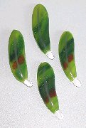 Click for a larger photo of the Smaller Amazon Glass Feather Magnets
