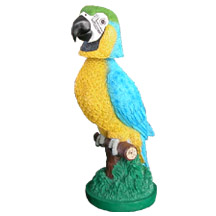 Blue & Gold Macaw Bobblebird