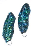 Click for a larger photo of the Blue Rainbow Glass Feather Magnet