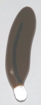 A larger photo of the Brown Glass Feather