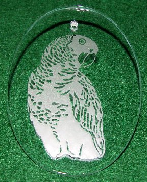 Large photo of African Grey Etched in Glass