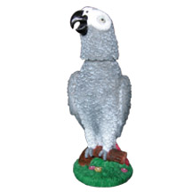 Congo African Grey Bobblebird