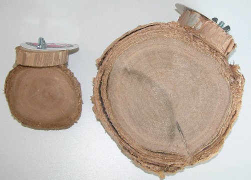 Large photo of Cajeput Coffee Table Perches