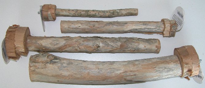 Large photo of Cajeput Perches
