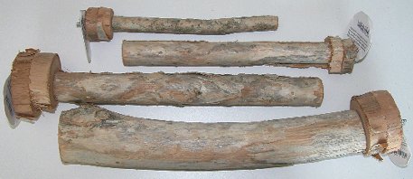 Click for a larger photo of Cajeput Perches