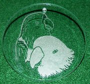 Click for larger photo of Eclectus' Etched in Glass