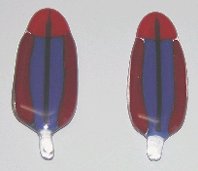Click for a larger photo of the Female Eclectus Glass Feather Magnets