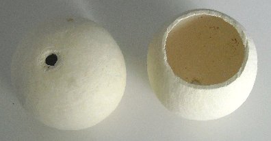 A larger photo of the Fruit Cups