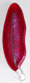 A larger photo of the Iridescent Red Glass Feather Magnet