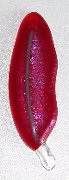 Click for a larger photo of the Iridescent Glass Feather Magnets