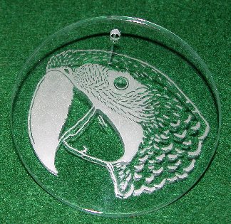 Large photo of Macaw Etched in Glass