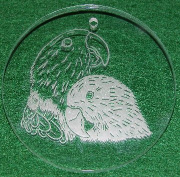Larger photo of the Eclectus' Etched in Glass Ornament