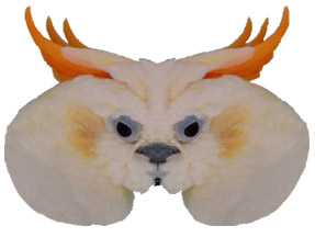 Sosillyan Parrot Persianalitoo