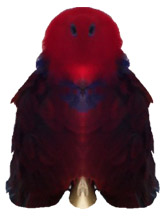 Sosillyan Parrot Red Caper