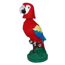 Scarlet Macaw Bobblebird