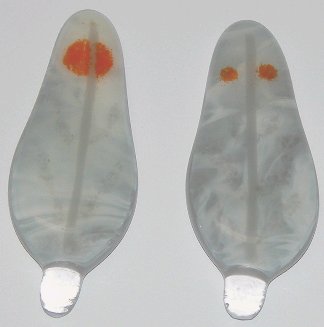 A larger photo of the Cockatiel Gray Glass Feather Magnets