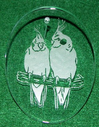 Large photo of Cockatiels Etched in Glass