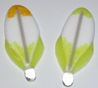 Click for a larger photo of the Cockatoo 1 Glass Feather Magnets