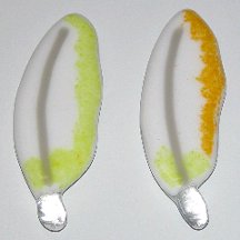 Click for a larger photo of the Cockatoo 2 Glass Feather Magnets