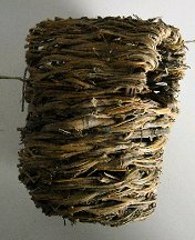 Click for a larger photo of the Parakeet Twig Nest