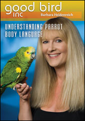 Understanding Parrot Body Language DVD #3