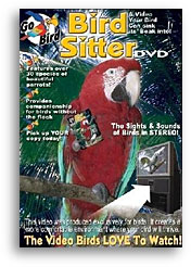 Bird Sitter DVD