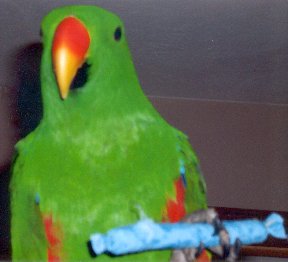 Lexxie and his Seedsy Roll posing for the camera!