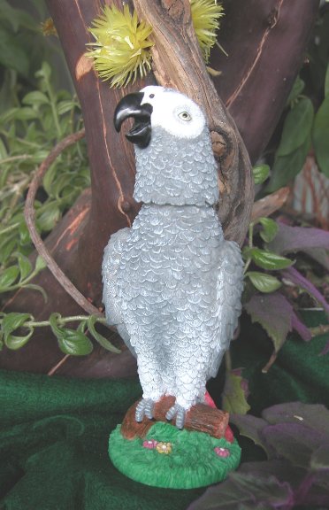 Click for larger photos of the Congo African Grey Bobblebird