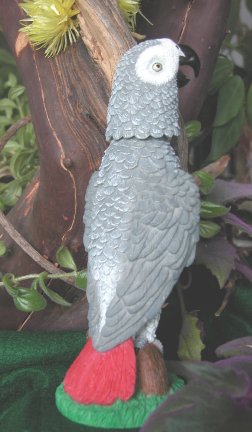 Congo African Grey Bobblebird back