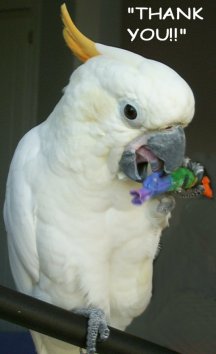 Tangie is so content with her Seedsy Roll 