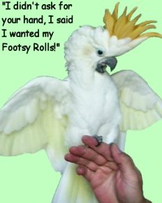 Our "Tangie" with attitude/Happy with Footsy Roll