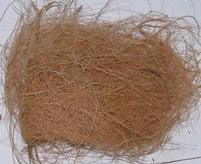 Large photo of Coconut Fiber