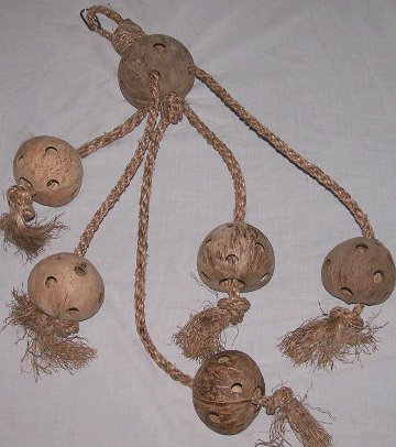 Large photo of A Lovely Bunch of Coconuts