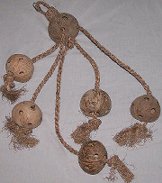 Click for larger photo of A Lovely Bunch of Coconuts